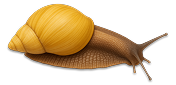 Snail Marker