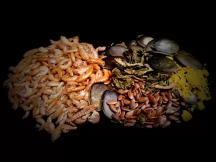 IMG_20200611_122341-1