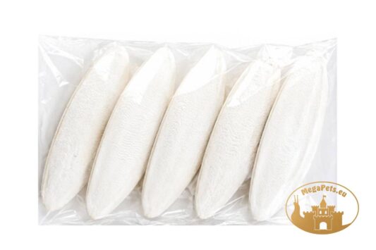 Kość mątwy sepia 100% naturalna zestaw 5 szt wapń dla ślimaków MegaPets.eu