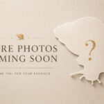 More photos coming soon | MegaPets.eu More photos of Archachatina snails coming soon – MegaPets.eu