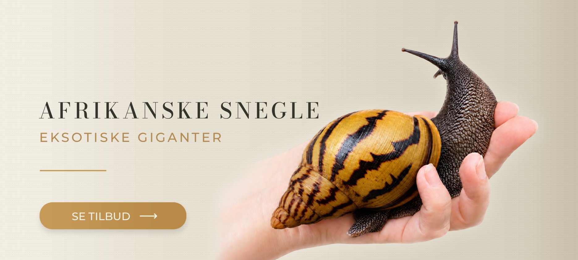 Eksotiske snegle MegaPets