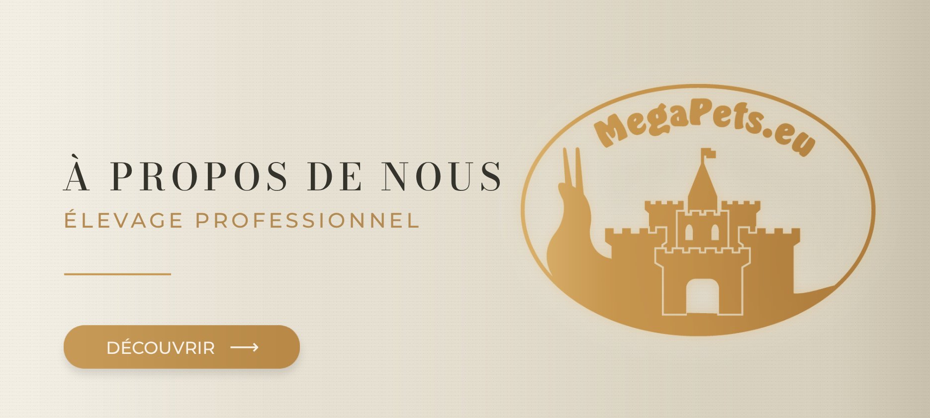 À propos de nous MegaPets
