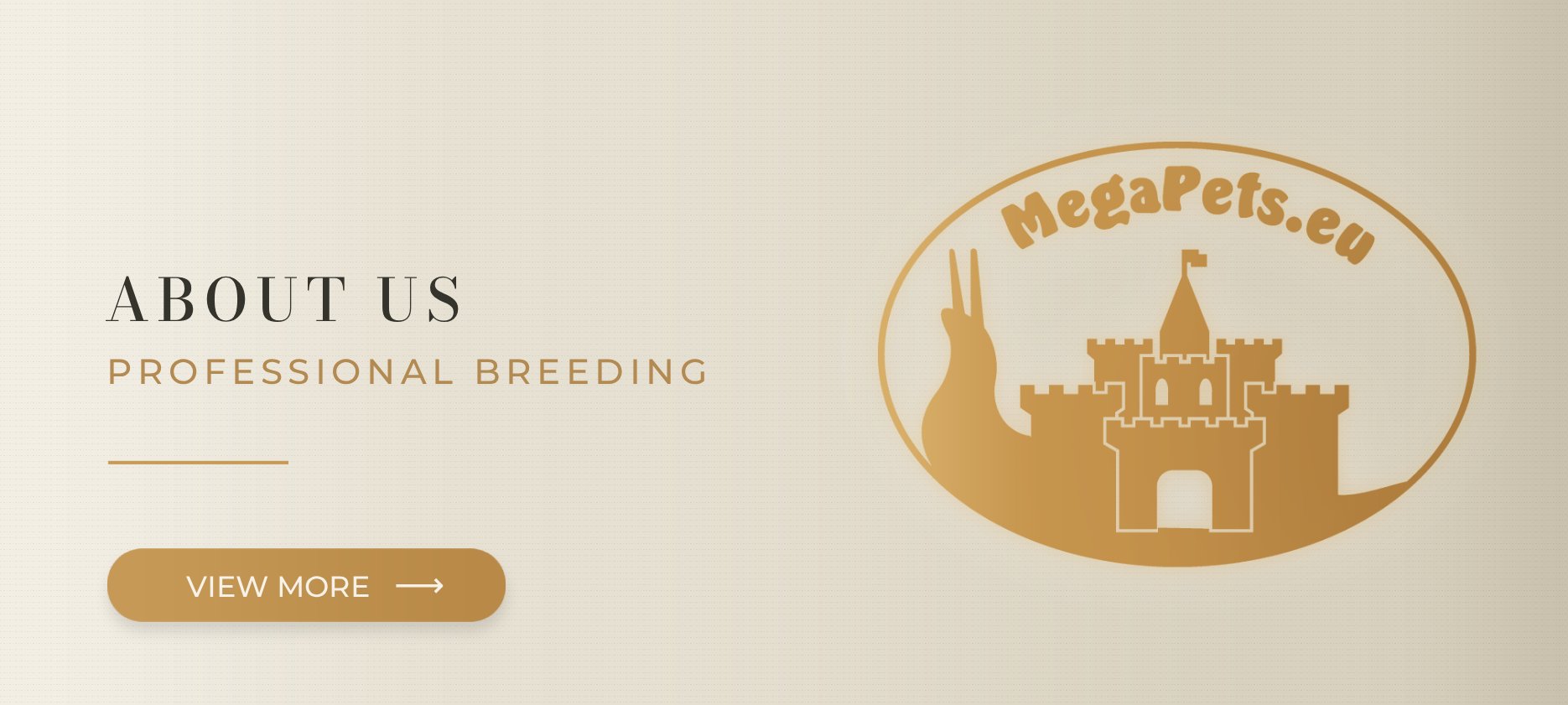 About Us MegaPets