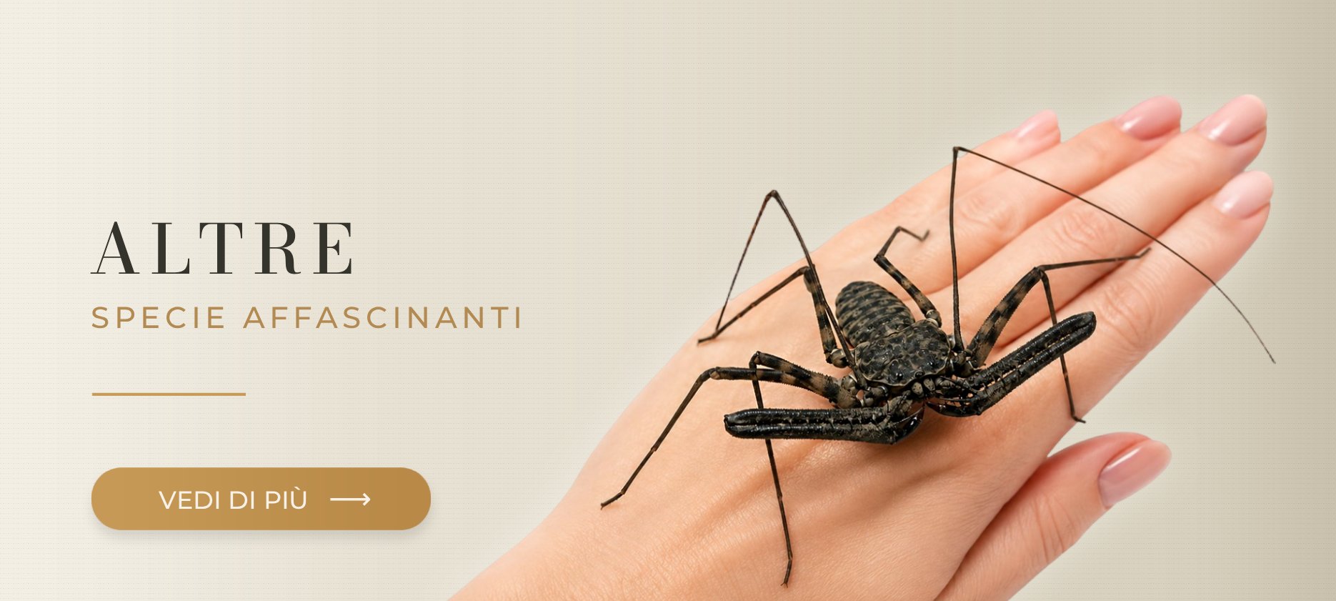 Specie esotiche MegaPets