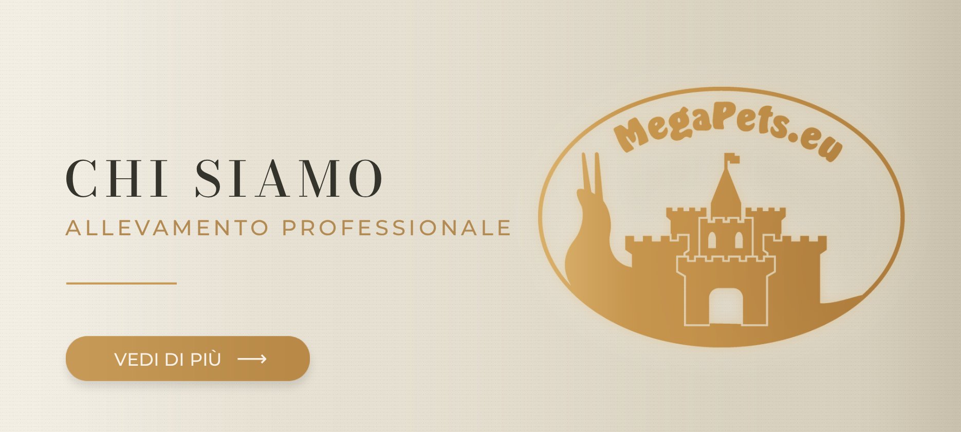 Chi siamo MegaPets