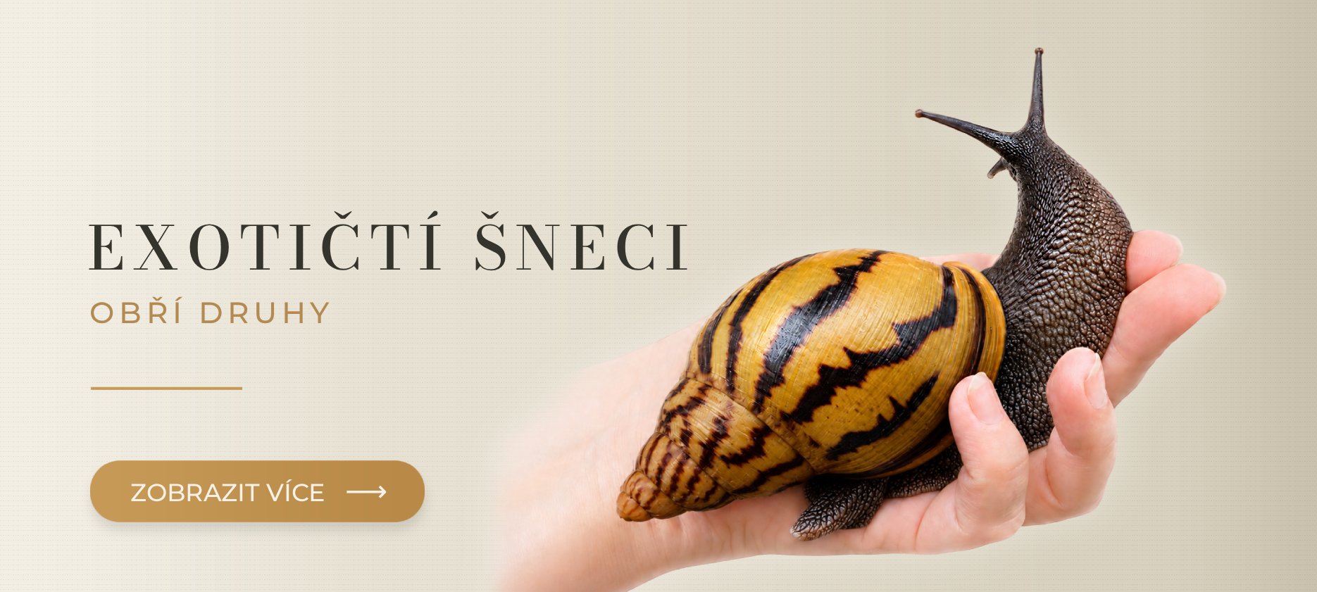 Exotičtí šneci MegaPets