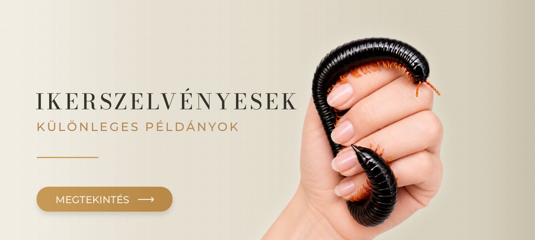 Exotikus millipedek MegaPets