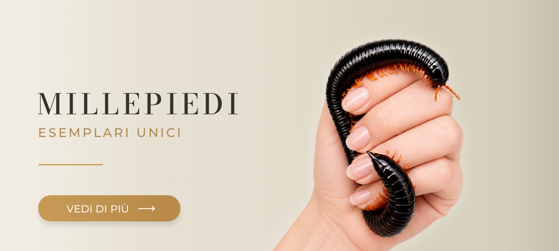 Millepiedi esotici MegaPets