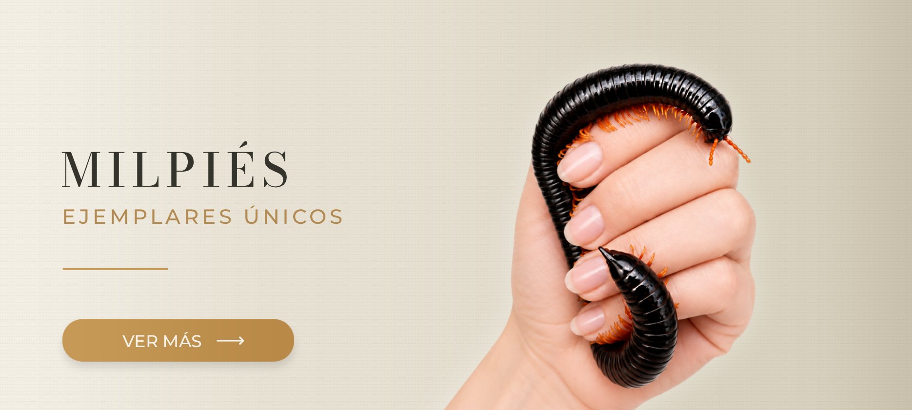 Milpiés exóticos MegaPets