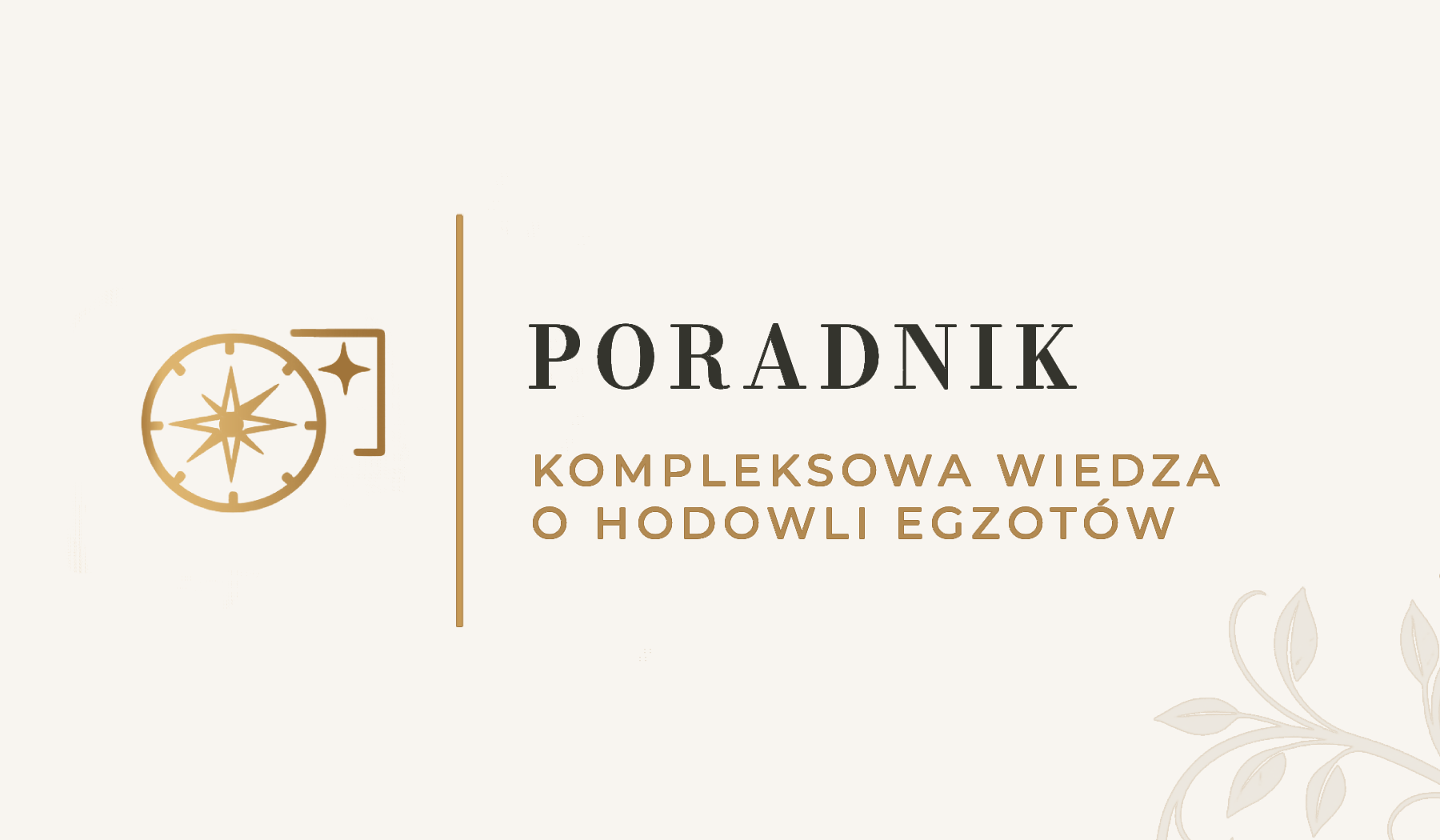 Poradnik MegaPets