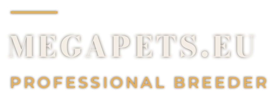 MegaPets Cinematic Signature