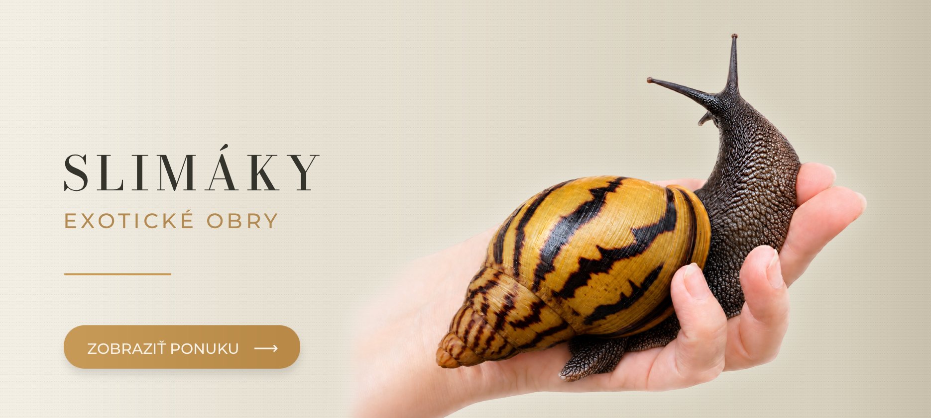 Exotické slimáky MegaPets