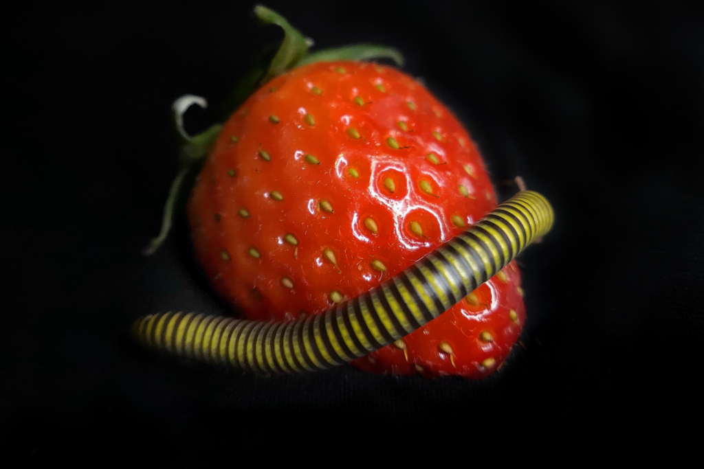 0603201-2048×1366