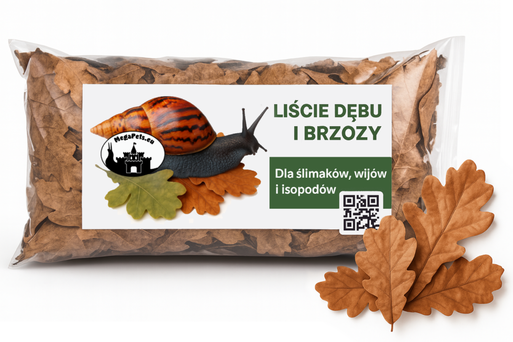 Allegro Liście 3