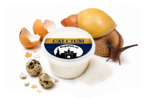 Calcium opakowanie • 80 g
