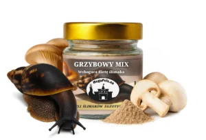 Grzybowy Mix opakowanie • 75 g
