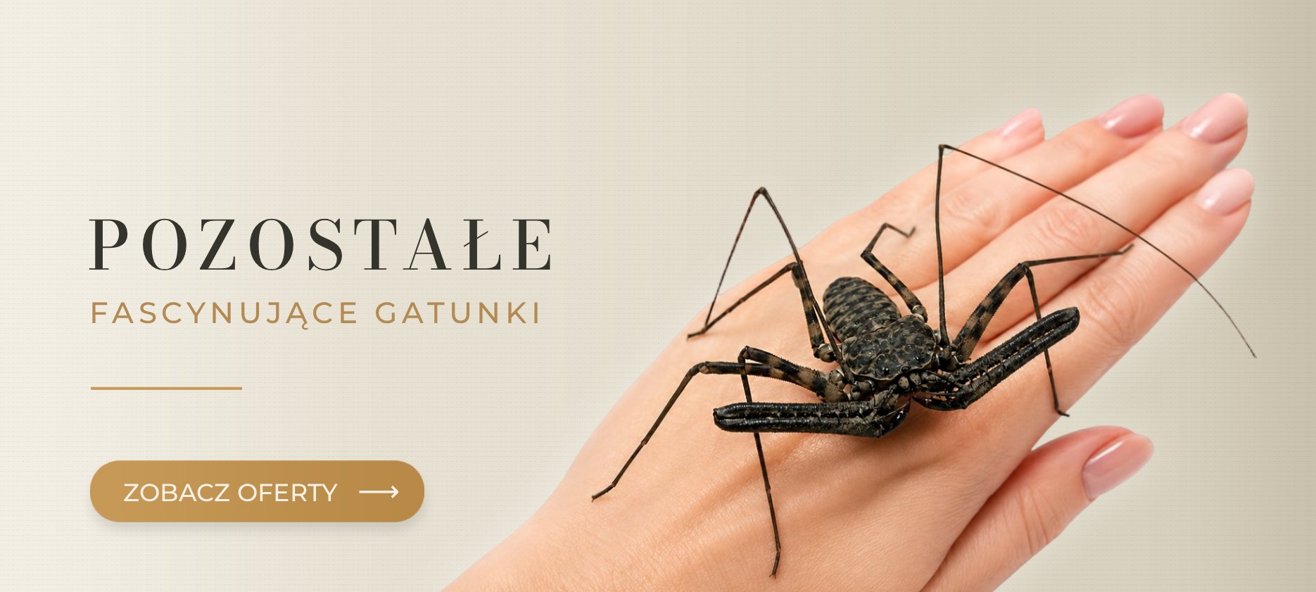 Pozostałe zwierzęta MegaPets