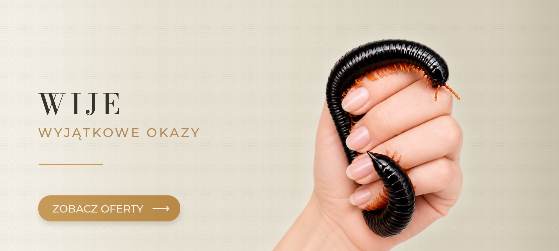 Egzotyczne wije MegaPets