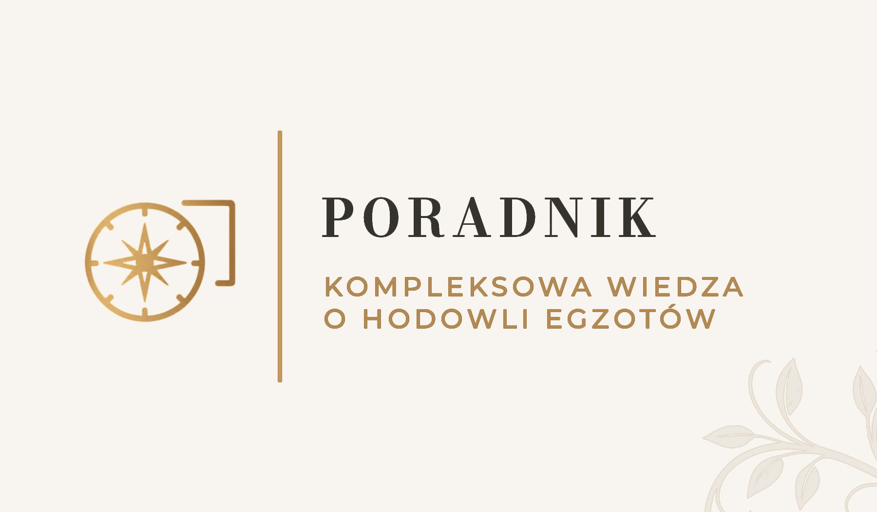 Poradnik MegaPets