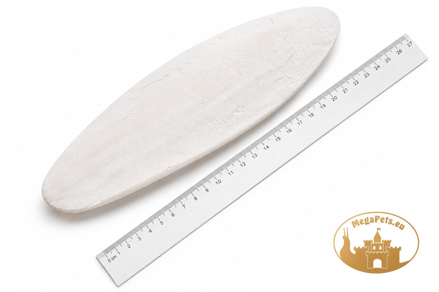 Sepia 100% naturalna Kość mątwy • Gigant - obrazek 2