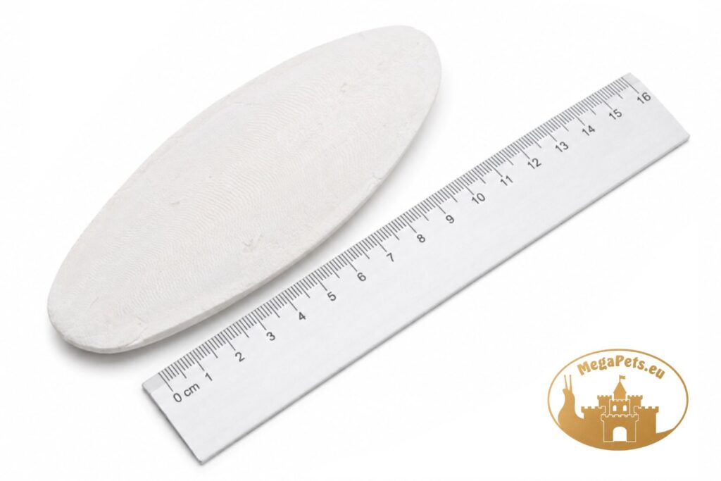 sepia-kosc-matwy-l-srednia-megapets-eu-wapn-calcium-dla-slimakow-2