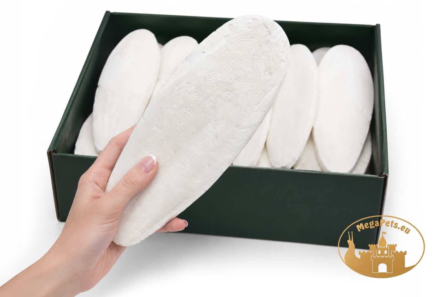 Sepia 100% naturalna Kość mątwy • Bardzo Duża XXL
