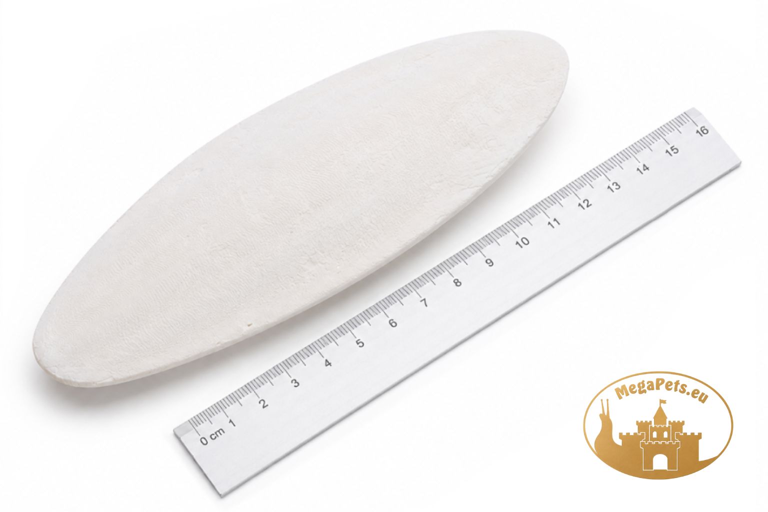 Sepia 100% naturalna Kość mątwy • Duża XL - obrazek 2