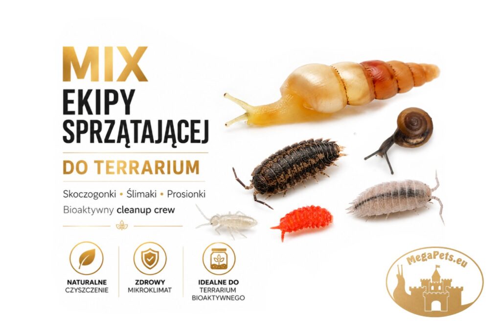 zestaw-mix-slimaki-skoczogonki-prosionki-ekipa-sprzatajaca