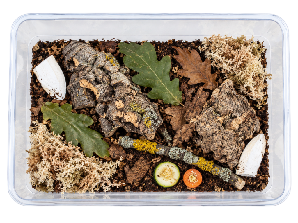 Przykładowe wyposażenie terrarium, Góra